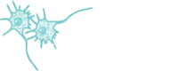 nerve(雑音空間)